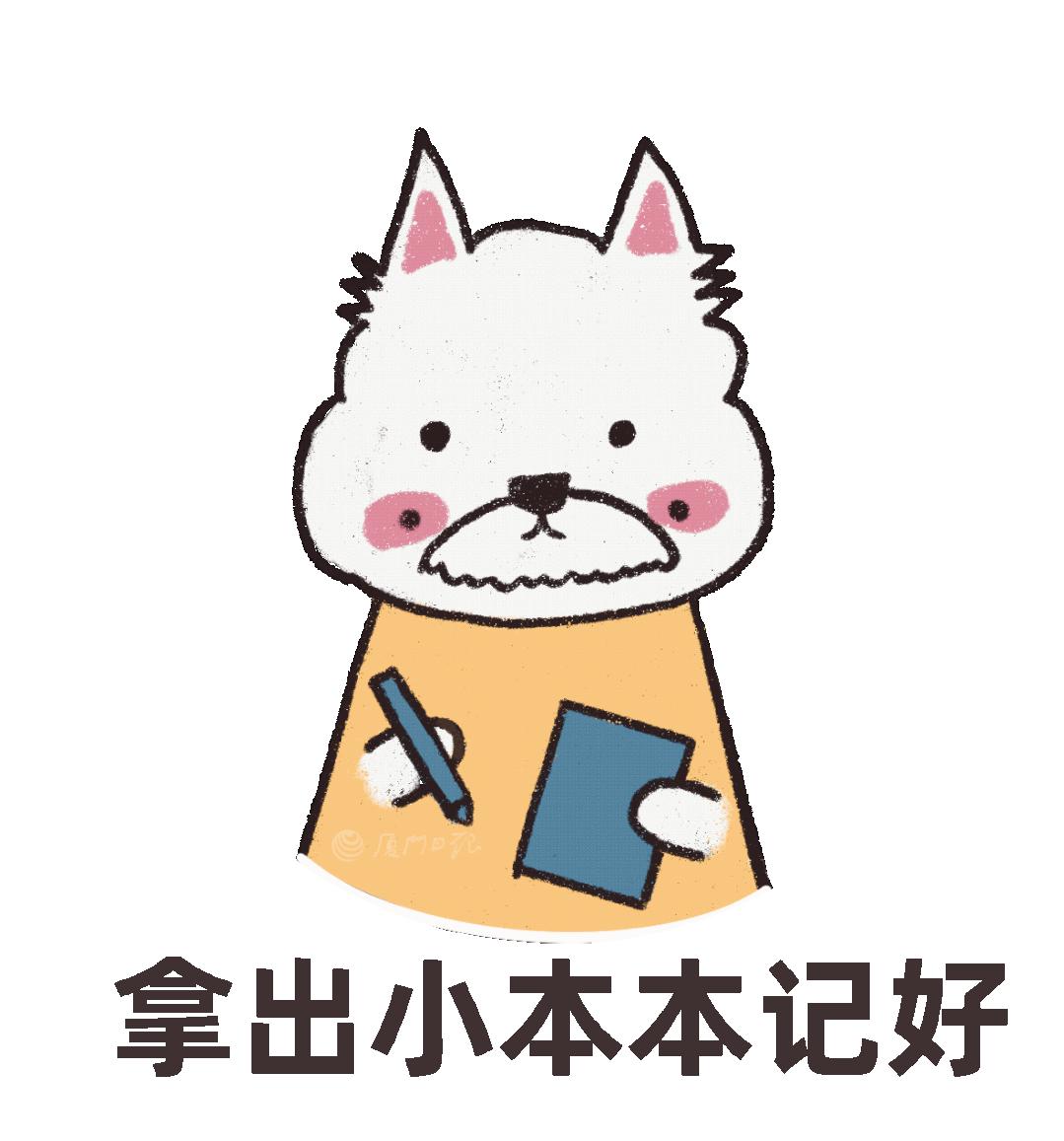 今日开抢！网友：候补都没位置了……厦门火车站提醒→