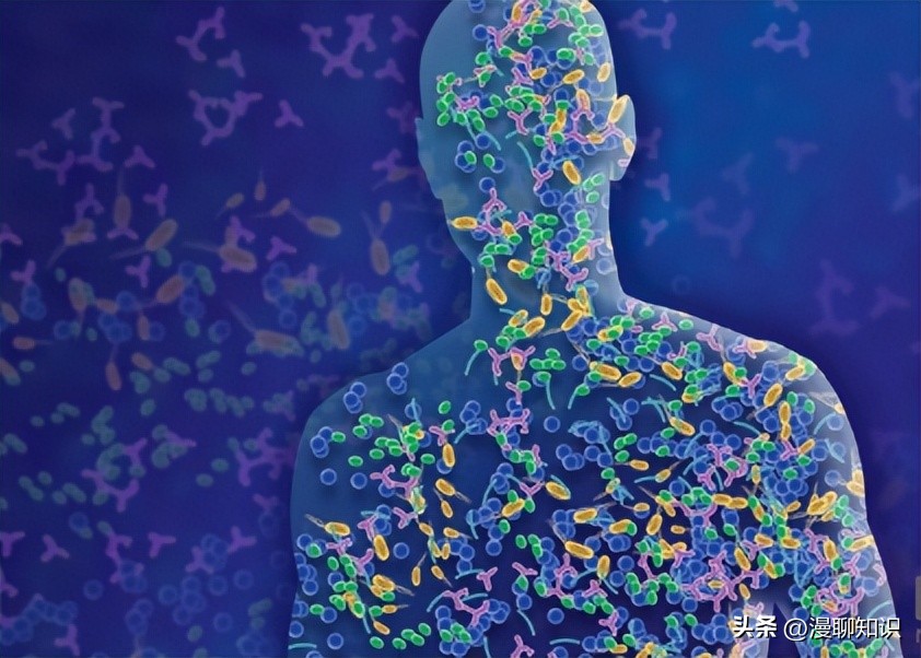 马疱疹病毒感染用什么治疗好,马病毒性疱疹