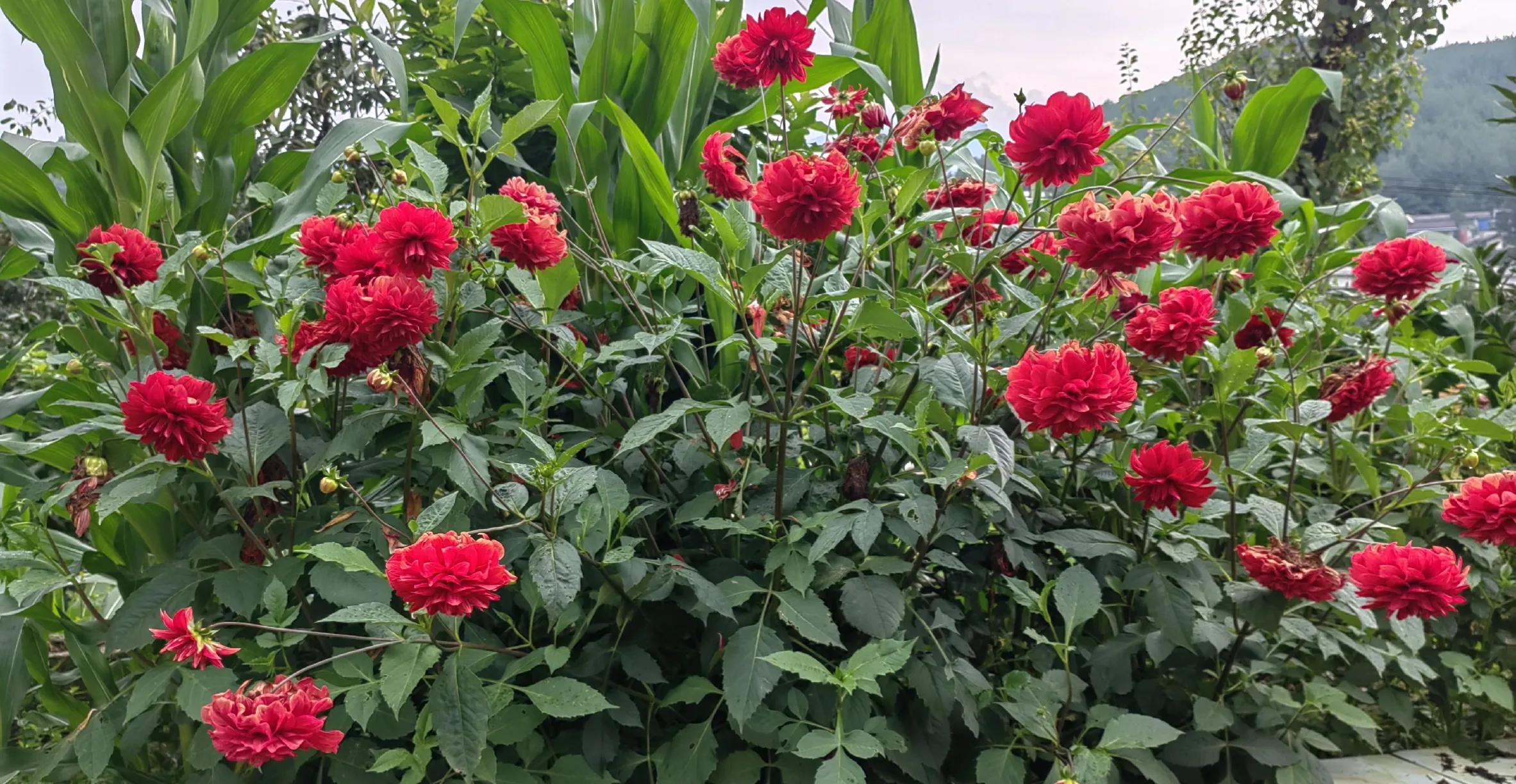 如何提升表达能力让说的话有内涵,真正能说会道会说的说话技巧