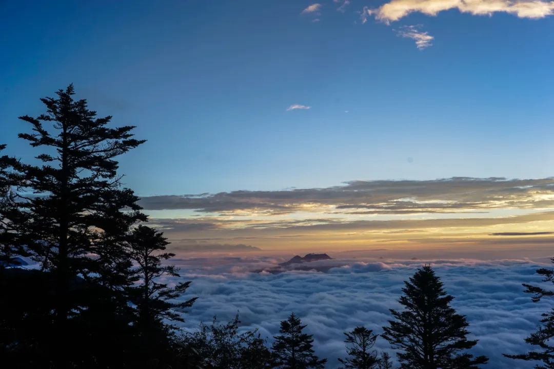 值得带娃去玩的景区推荐,无锡免费景区有哪些地方好玩