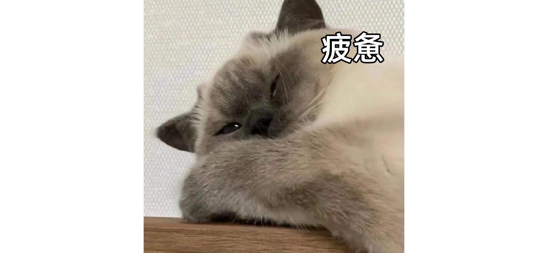 国货小棕瓶推荐,小棕瓶的平价替代