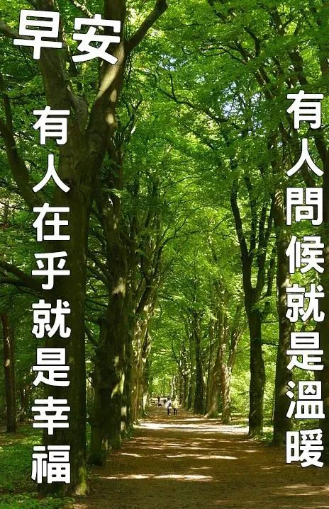 问候语祝福朋友的句子暖心,问候祝福朋友开心快乐的温馨句子