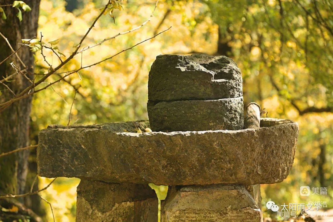 吴海燕30岁,夏天吴海燕