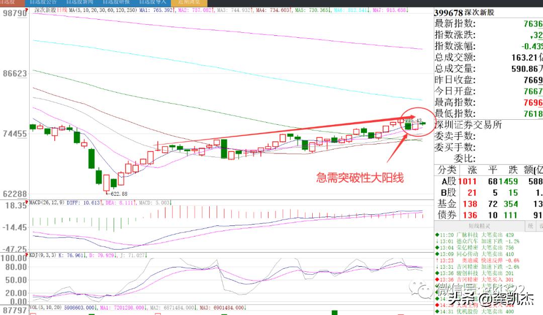 周末股评视频,周末股票最新分析