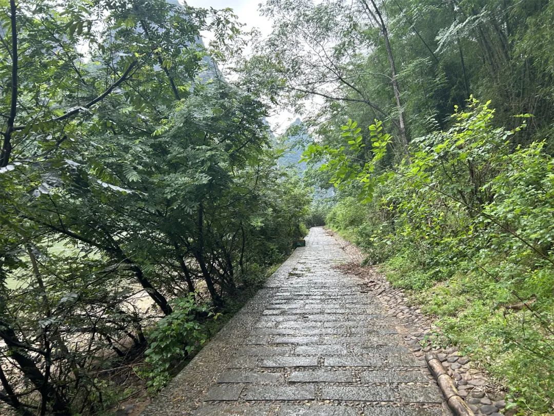 阳朔观岚和玖壤,观岚民宿阳朔多少钱