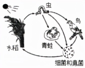 2021年黑龙江省龙东地区中考生物试卷