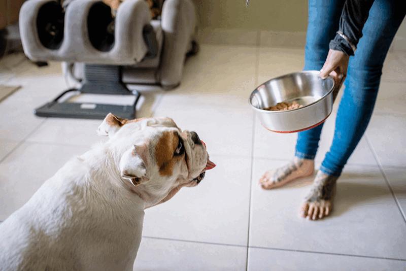 无需精细标记,单击物体实现物体移除、内容填补、场景替换