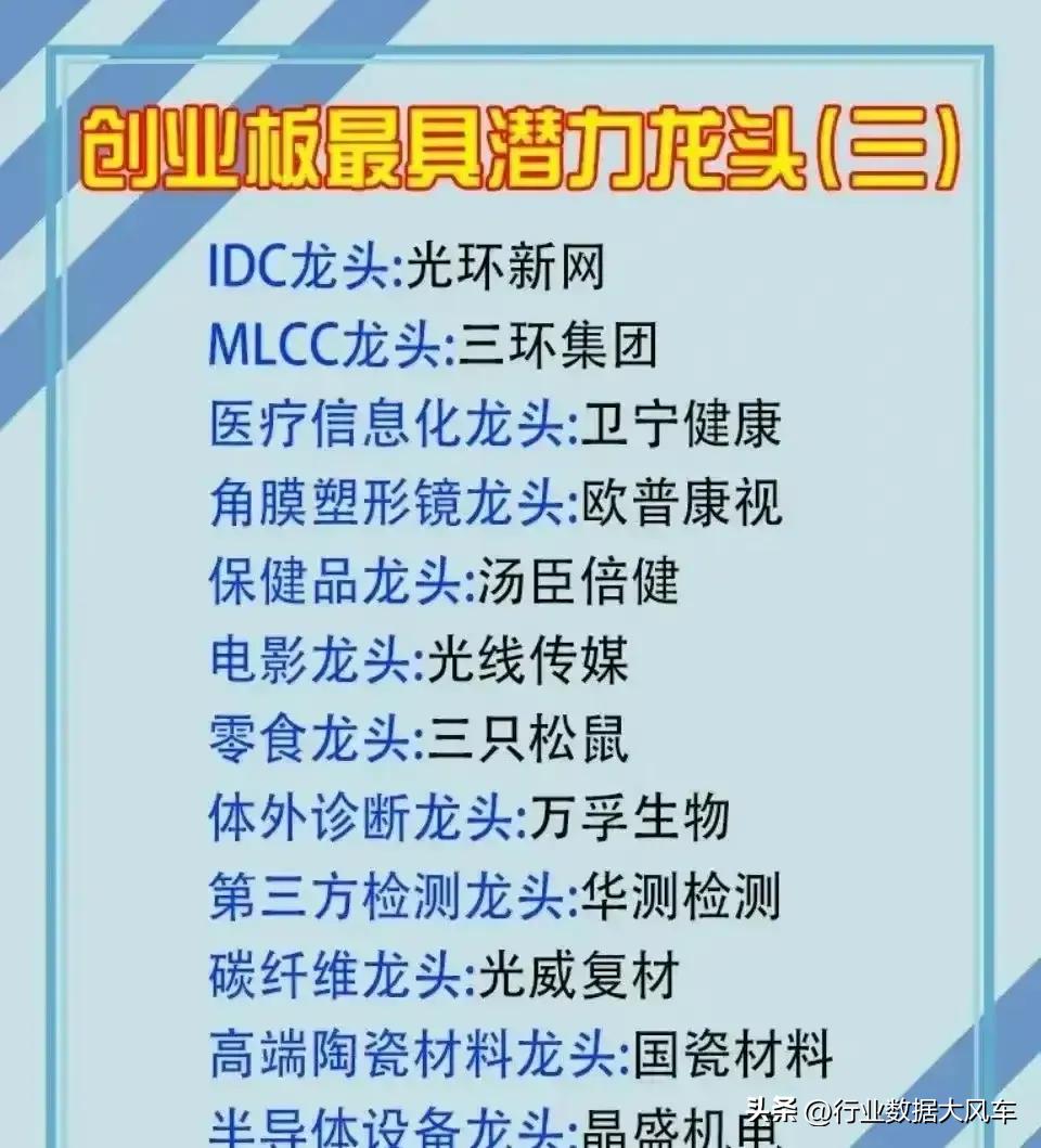 创业板细分龙头公司一览表,与创业板指数有关的板块有哪些