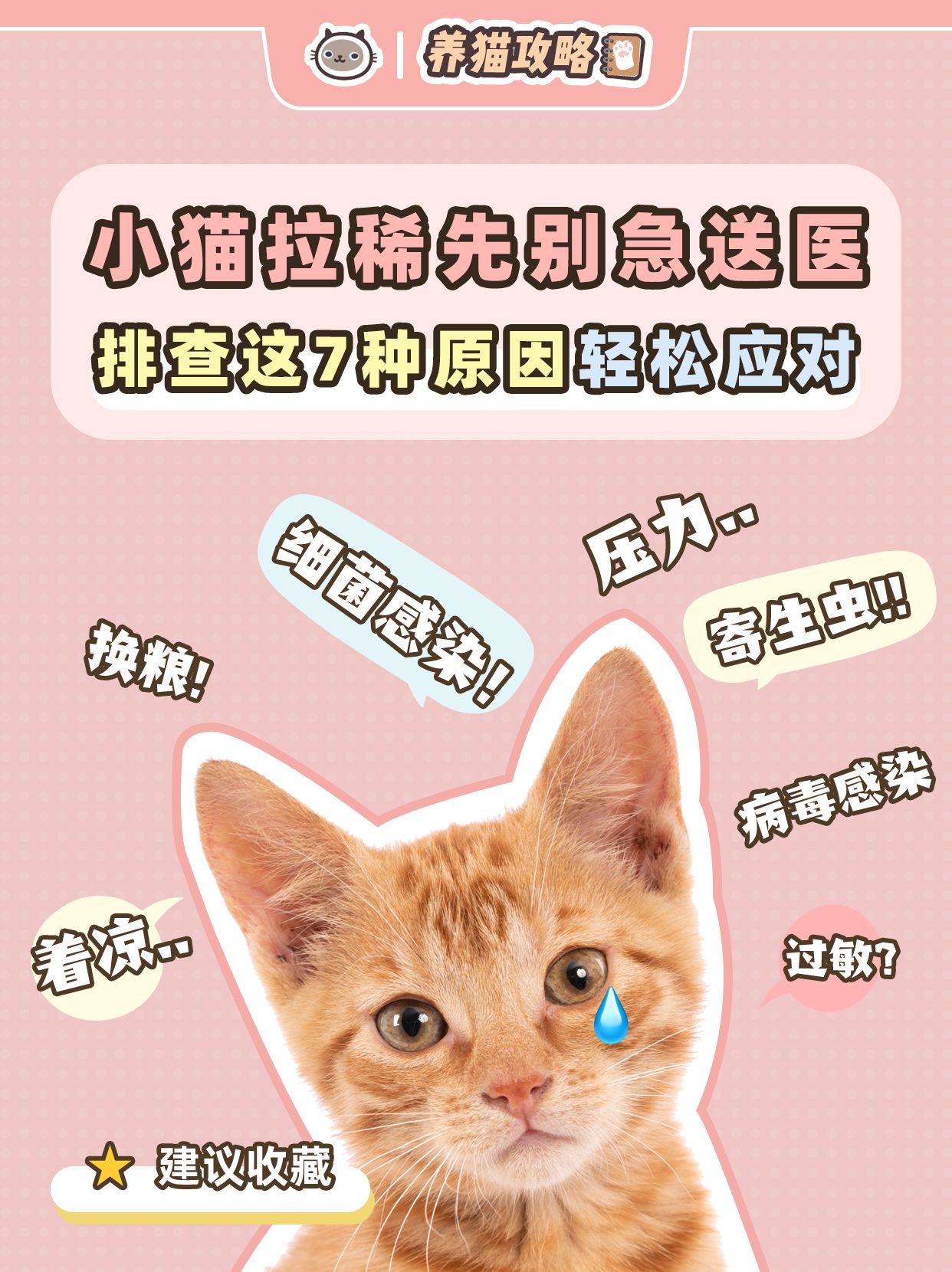 幼猫拉稀的解决办法是什么,幼猫拉稀一般什么原因