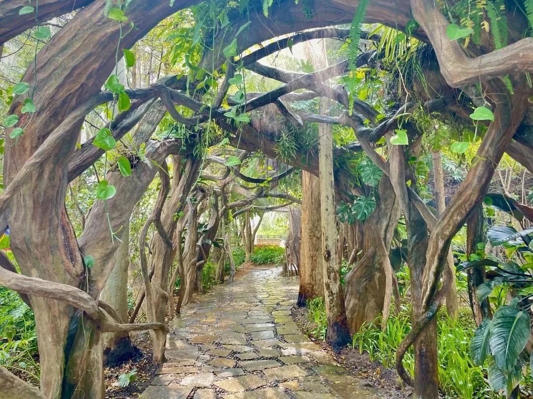 一起乘坐火车去旅游,一起乘坐飞机旅游