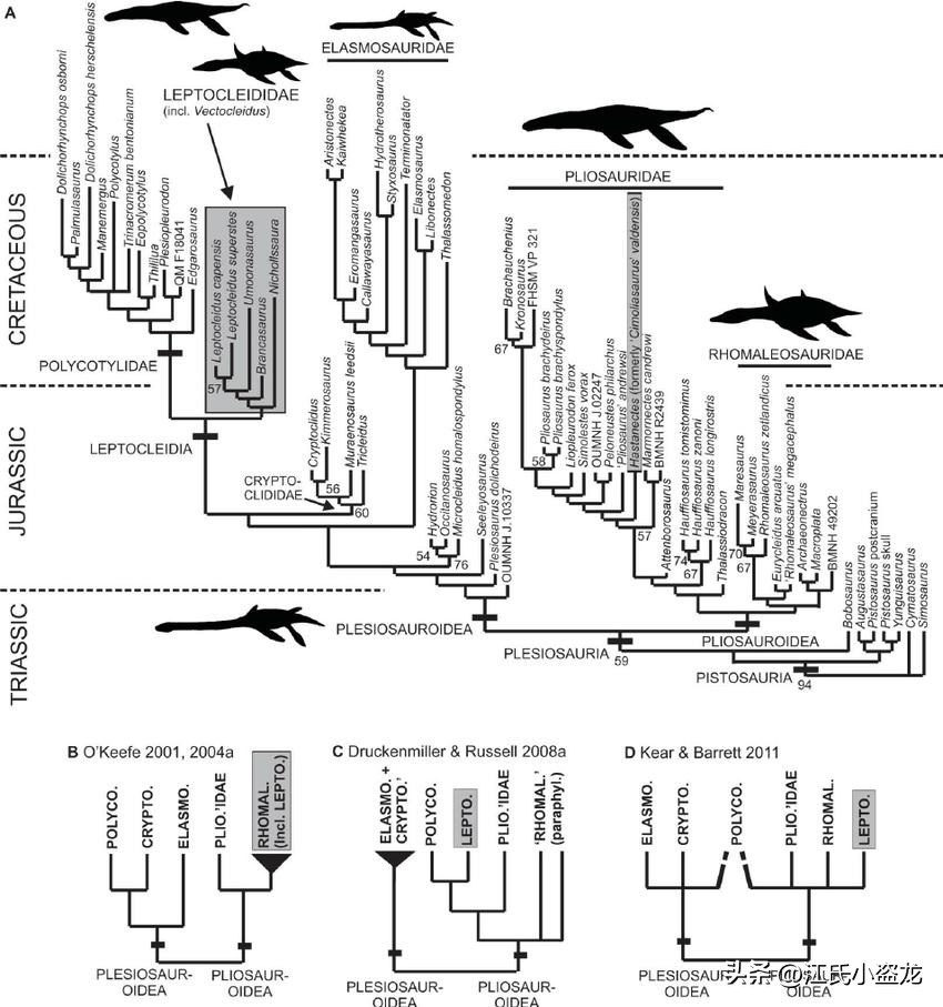 全民众筹买化石，终于知道它吃什么了！