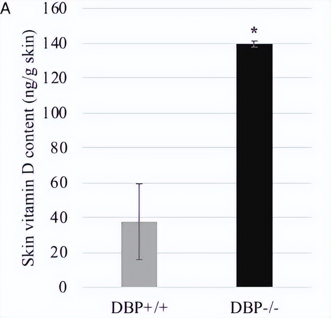 探索海洋固氮蓝藻毛滴虫联盟的转录活性，揭示水平氮循环潜在机制