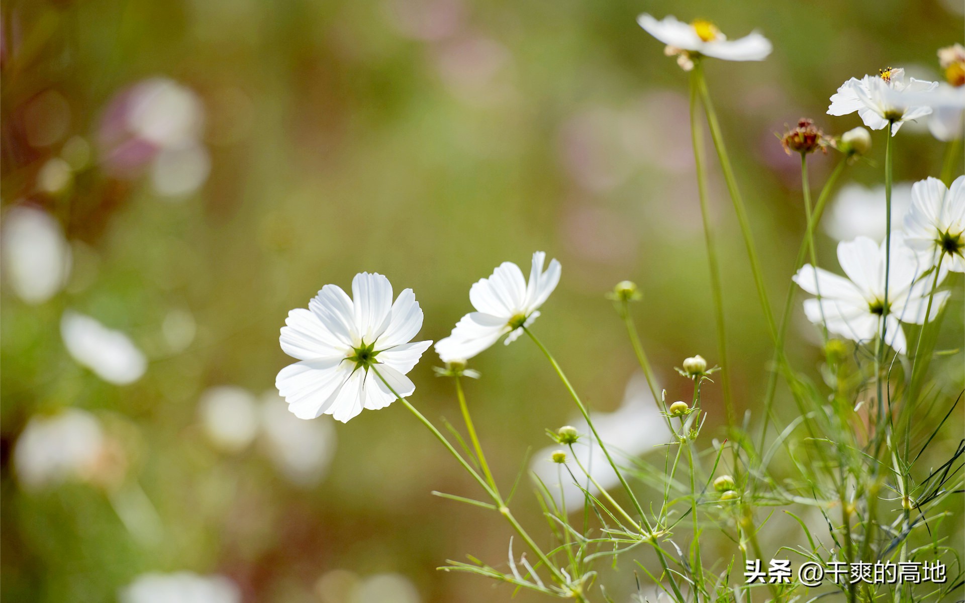 散文|王磊斌:外婆山