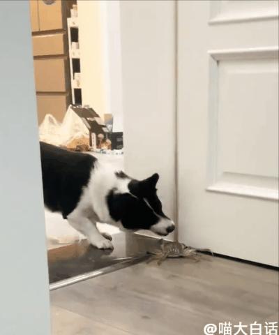 当富豪看到自己的国家队输球后...哈哈原来有钱人也会不高兴！