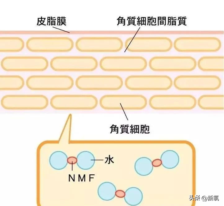大长今冻龄女神李英爱,韩国李英爱年轻时图片