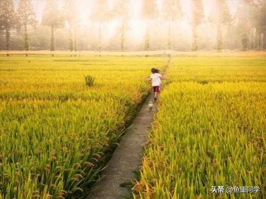 今天农历四月十五，你知道是什么日子吗？老祖宗的谚语怎么说的