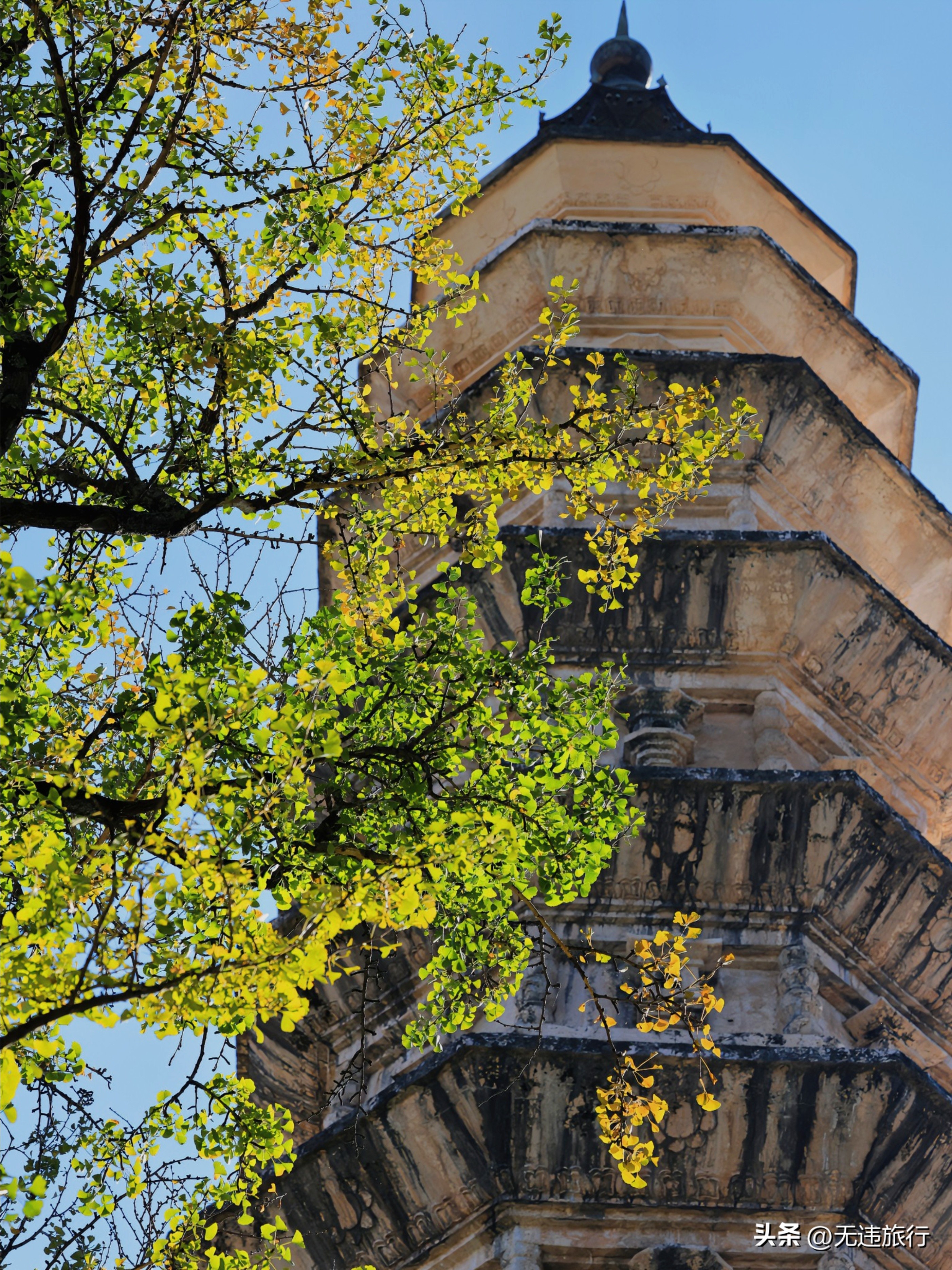 大理古城银杏叶美景,大理崇圣三塔附近景点