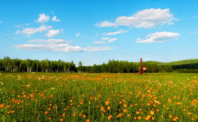 黑龙江景点小众,黑龙江冷门景点