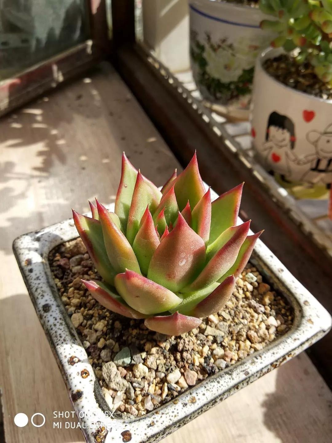 口红给你带来的魅力,口红的魅力无限