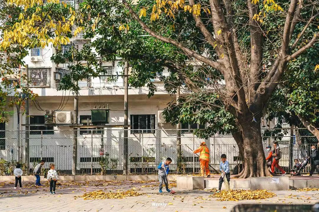从深圳出发的特种兵一日游,特种兵式旅游深圳出发