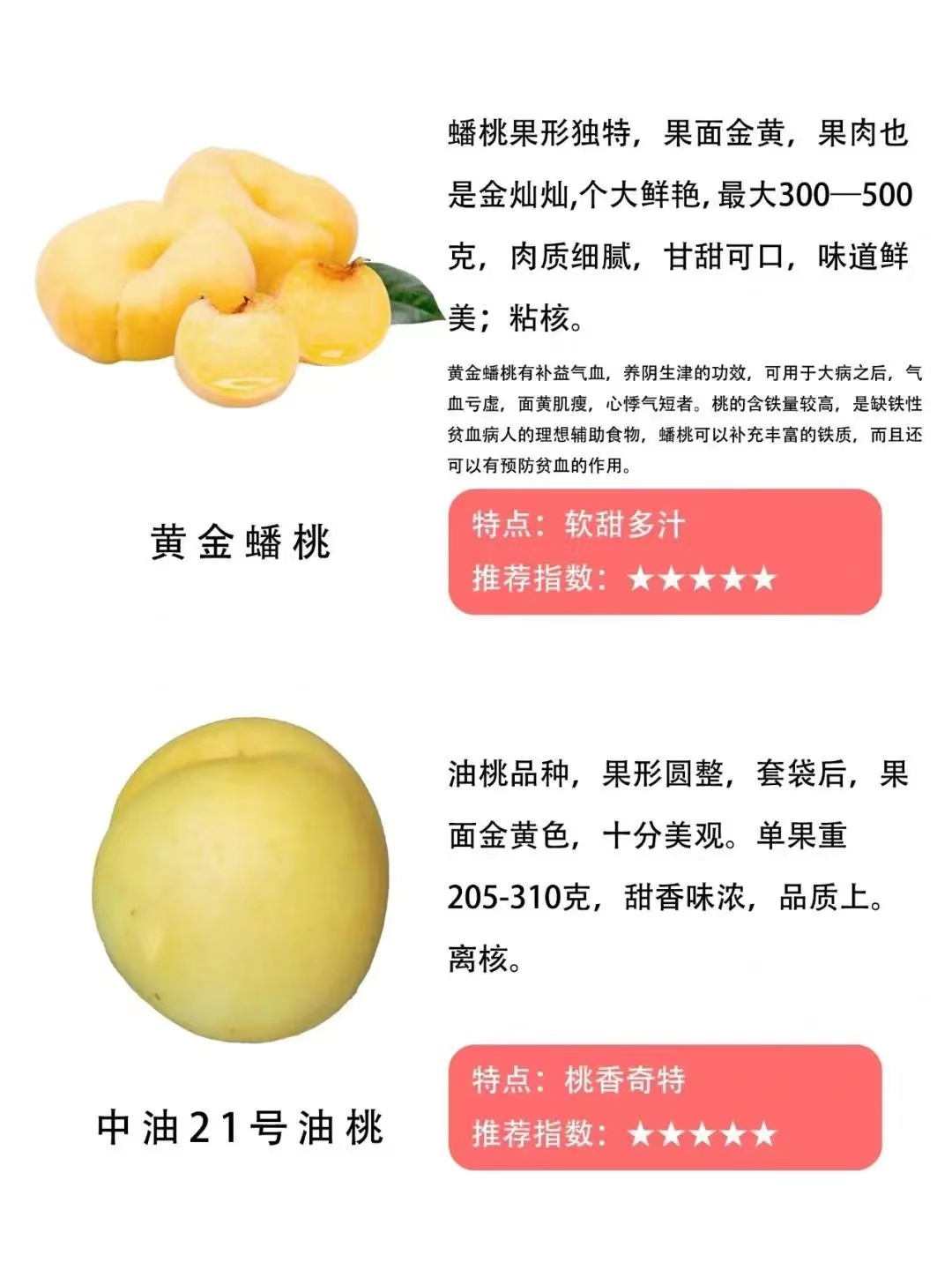 桃子品种大全及介绍,常见桃类的种类及特点