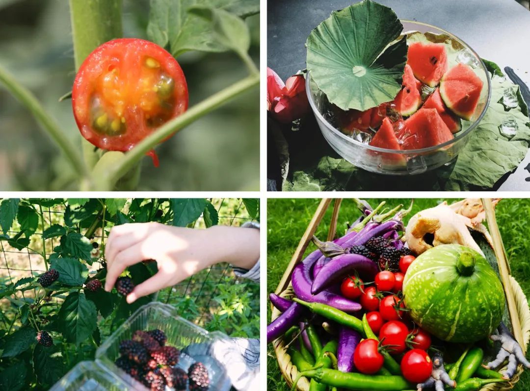 江浙沪附近避暑民宿,夏天莫干山性价比民宿推荐