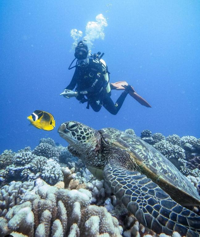 国外美女姐姐海里偶遇一只小鱼，竟引发神奇友谊！网友：前世情人