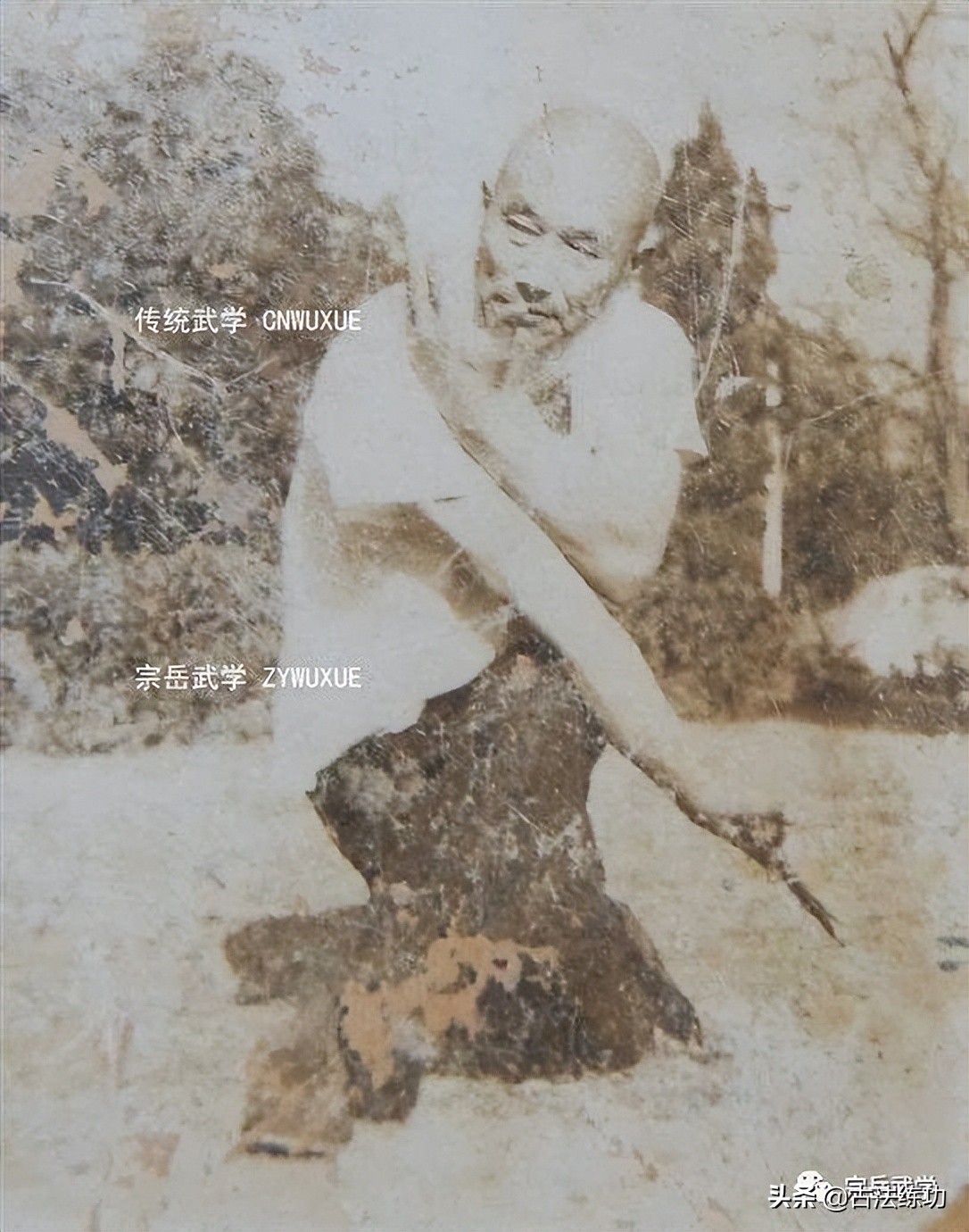 心意拳蛇形,心意拳易筋经