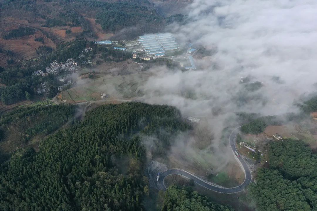 毕节市山地特色农业产业发展,林下经济铺就绿色脱贫路