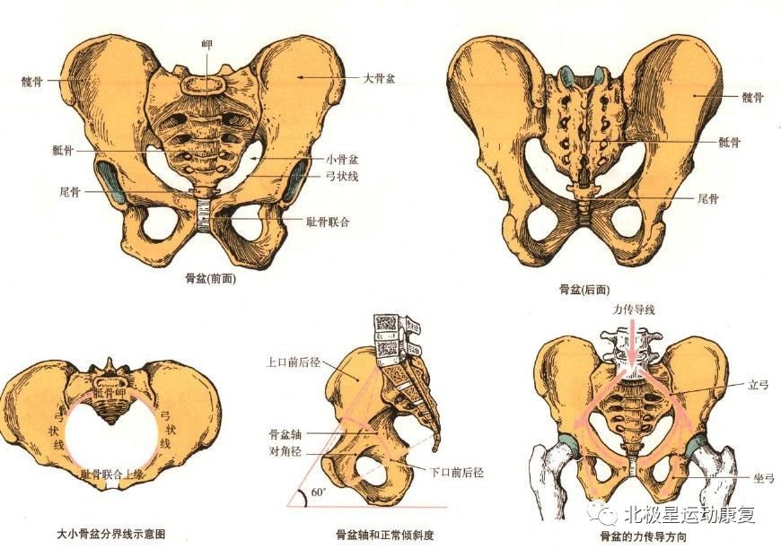 骶尾疼痛如何治疗,骶尾关节疼痛是什么原因