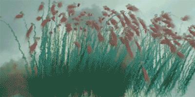 给奶奶“造”了一架天梯,靠*药火**爆炸作画,全球最会“玩火”的人