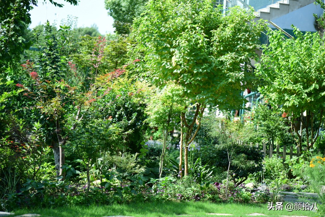 看到你的花园那么惨，我就安心了|园丁