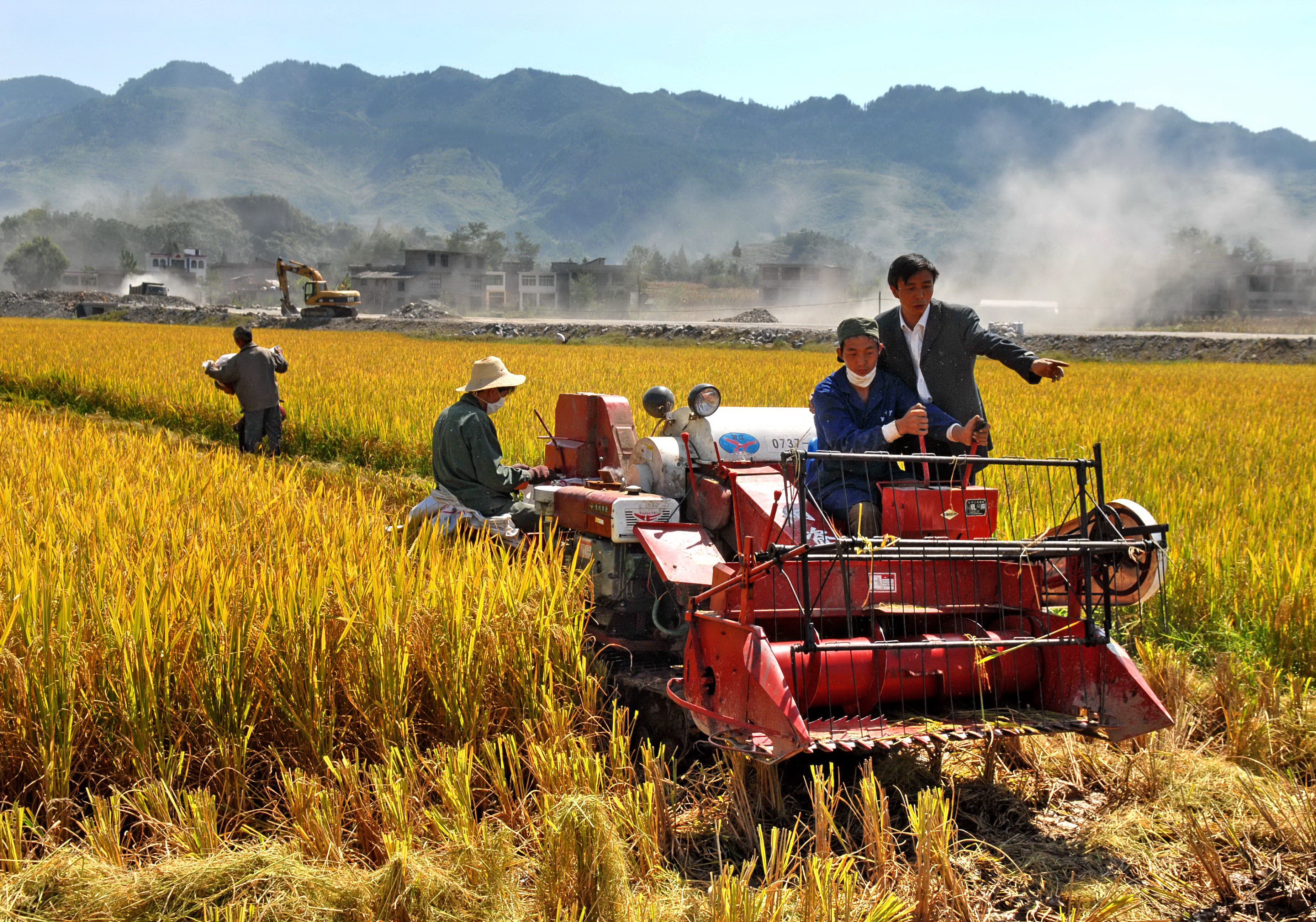 打造引领高质量发展的支柱产业,打造高质量发展的现代化产业体系