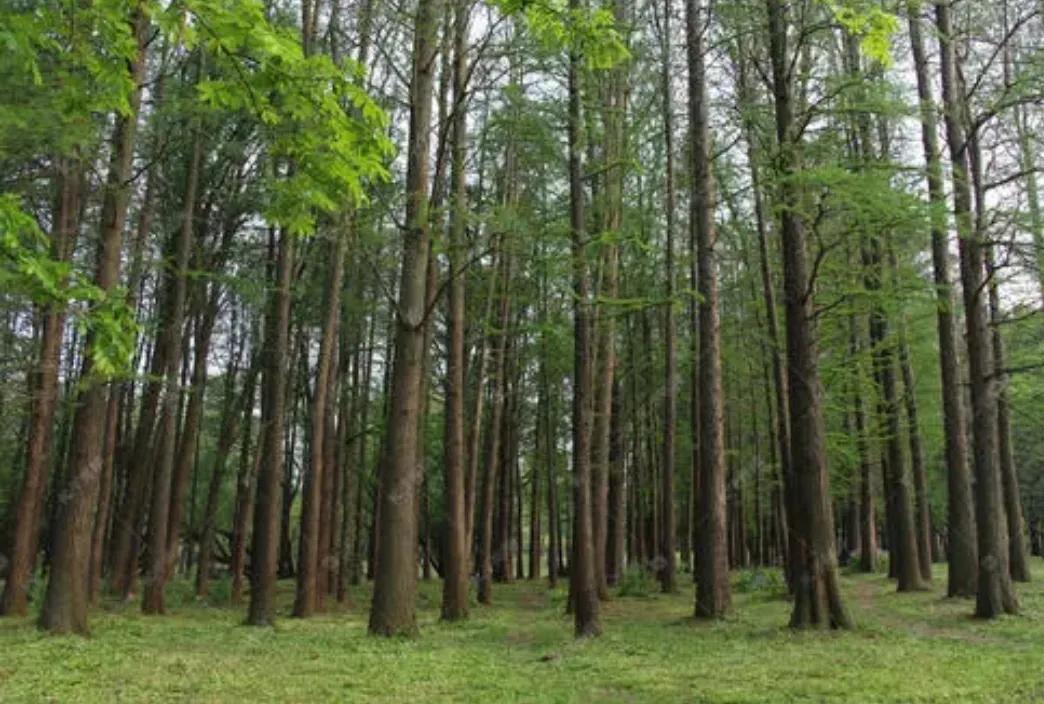 想在农村创业需要了解什么,农村创业需要满足哪几个条件