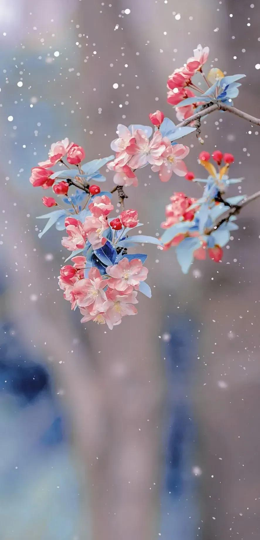 春天花的手机壁纸图片好看,春天图片唯美高清壁纸