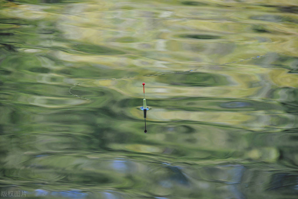 玉米野钓技巧和方法,野钓用玉米怎么钓鱼效果最好