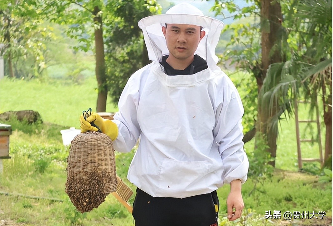 贵大这个学院,学生们的升学故事真精彩!