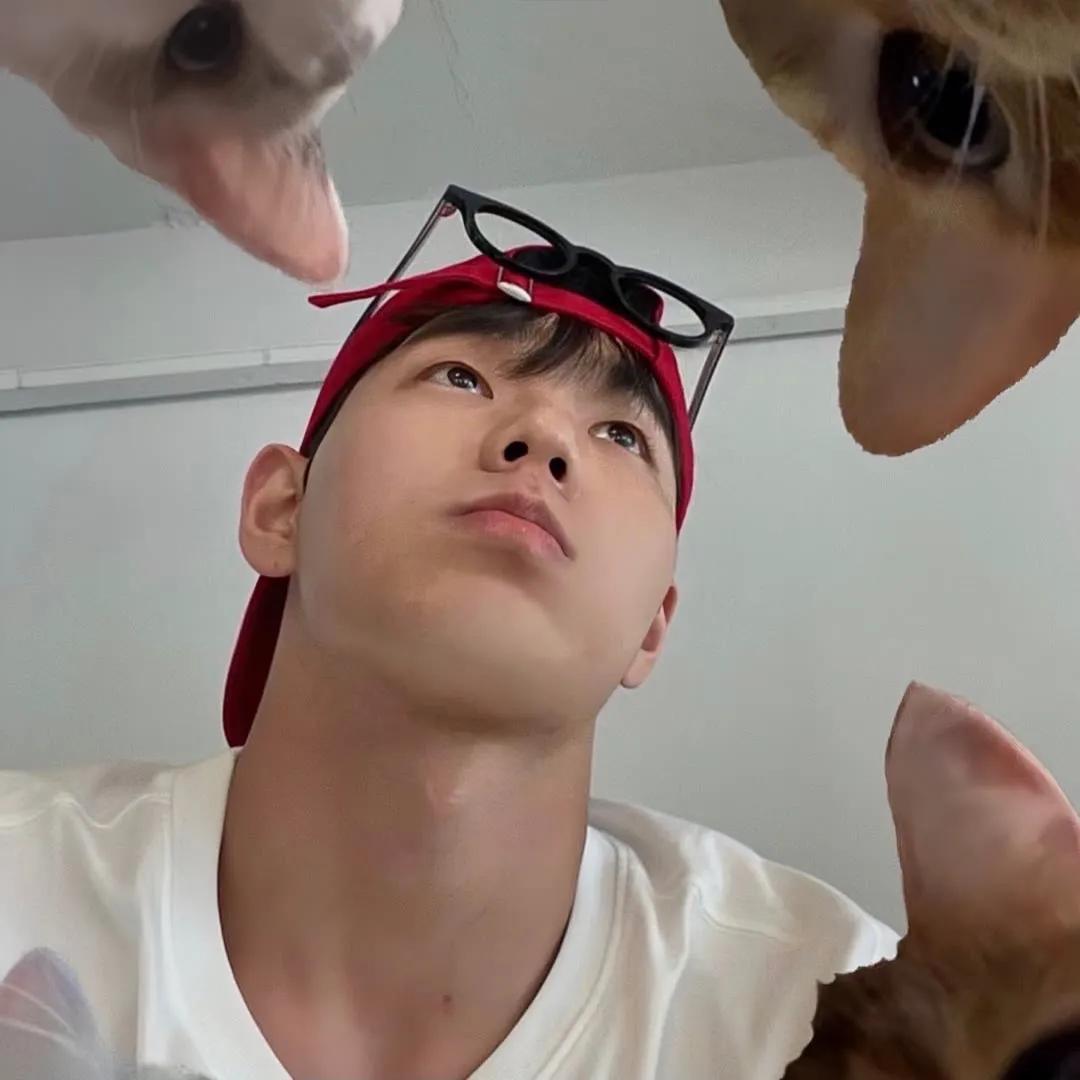 男生头像冷酷帅气,男生头像干净高级质感