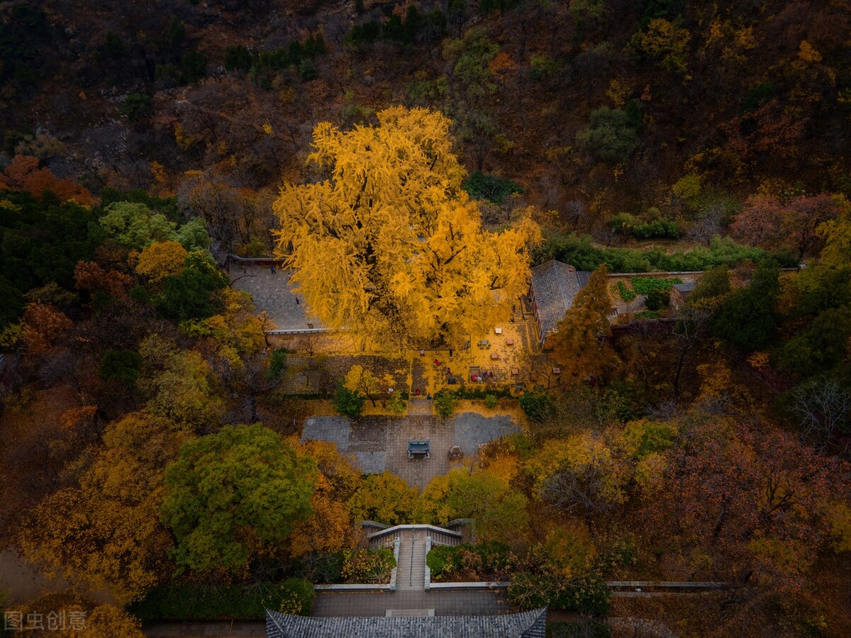 没想到济南的秋天竟然可以这样美,秋天济南哪个景区最美