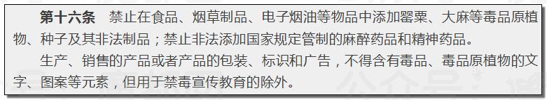 儿童刺绣亮片t恤,12个有毒童装品牌