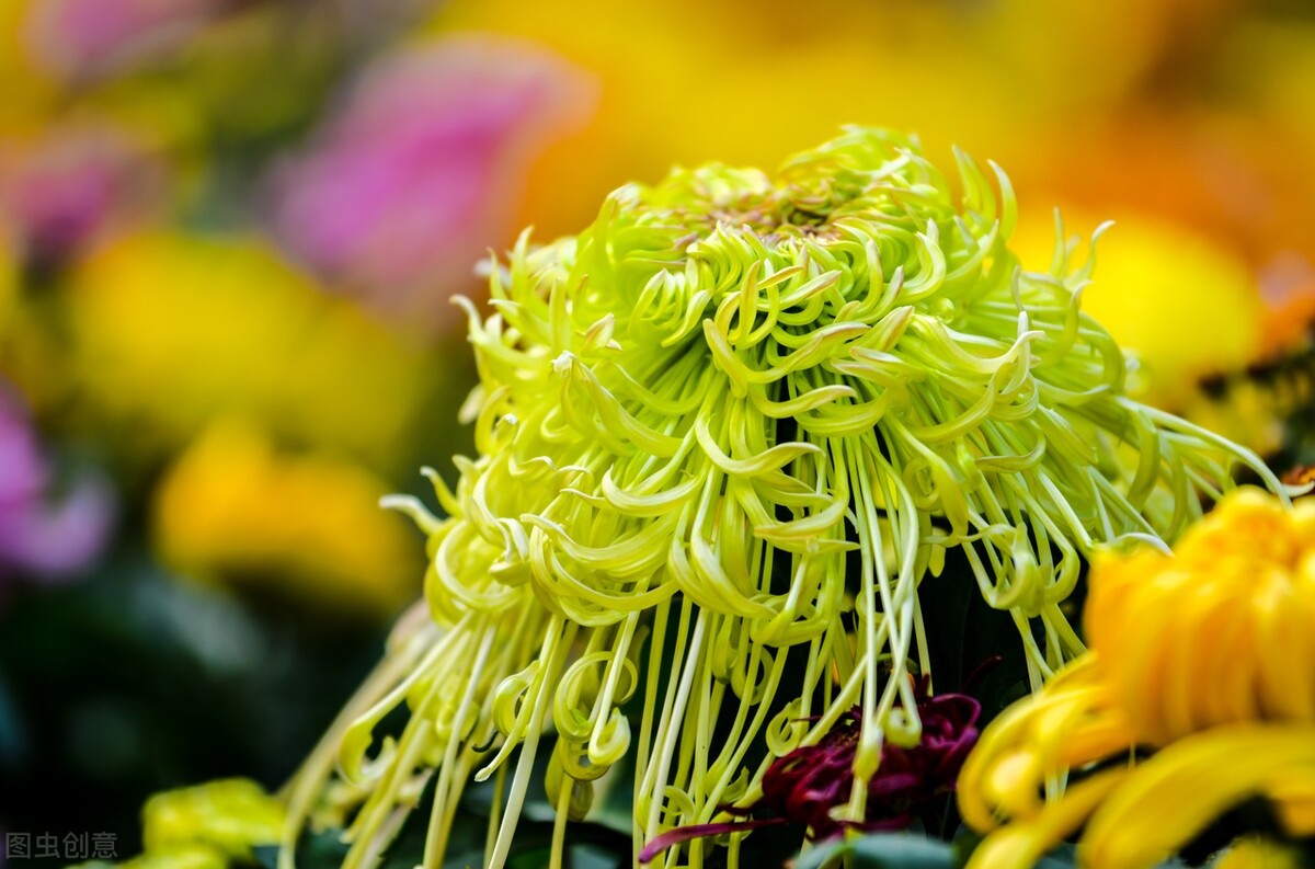 左脸看性格,面部看人