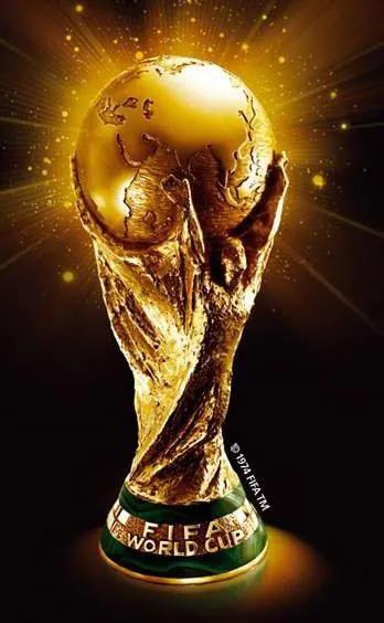 卡塔尔世界杯新闻摘抄,卡塔尔世界杯回忆录素材