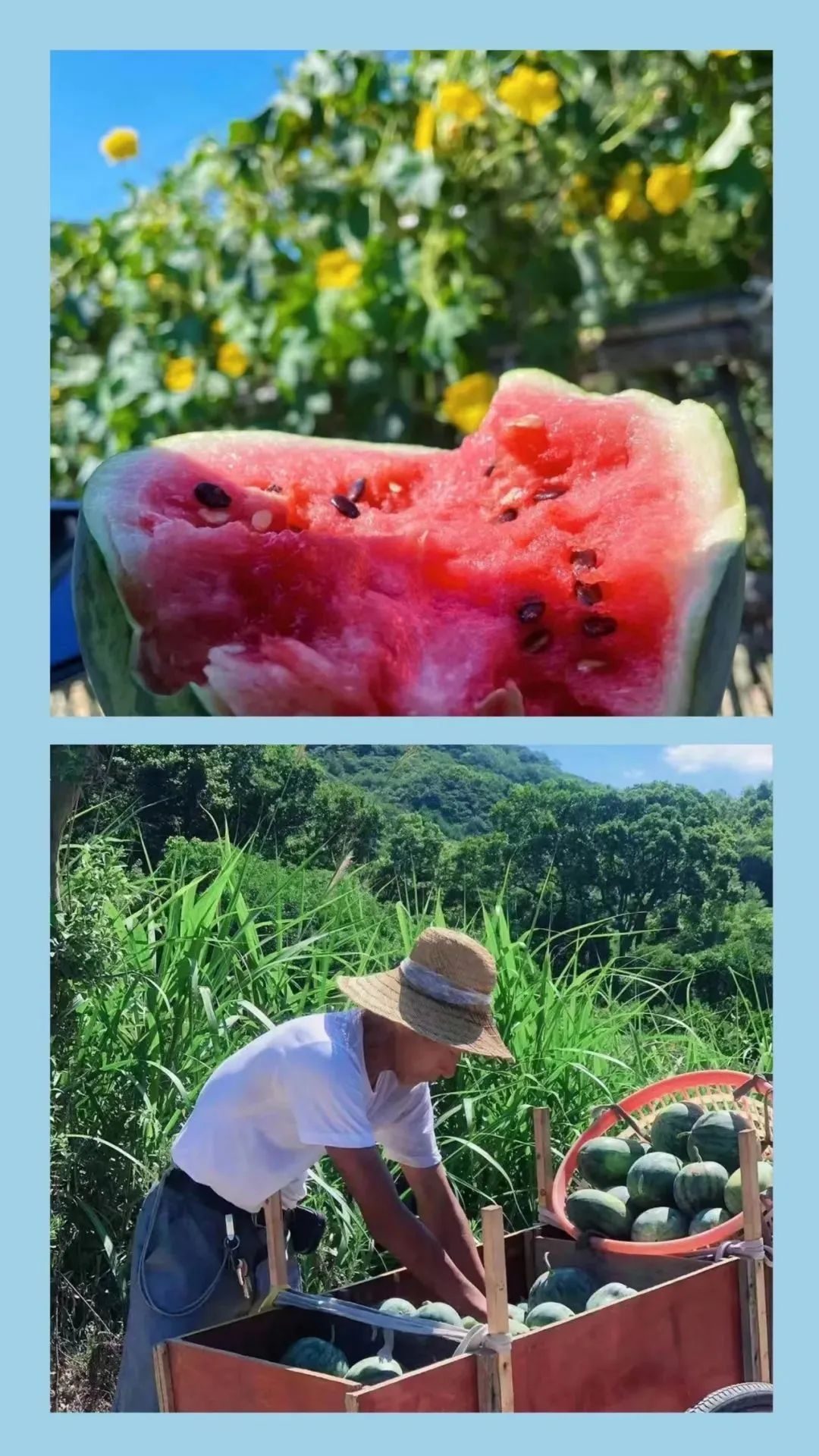 茅山民俗文化,茅山民俗