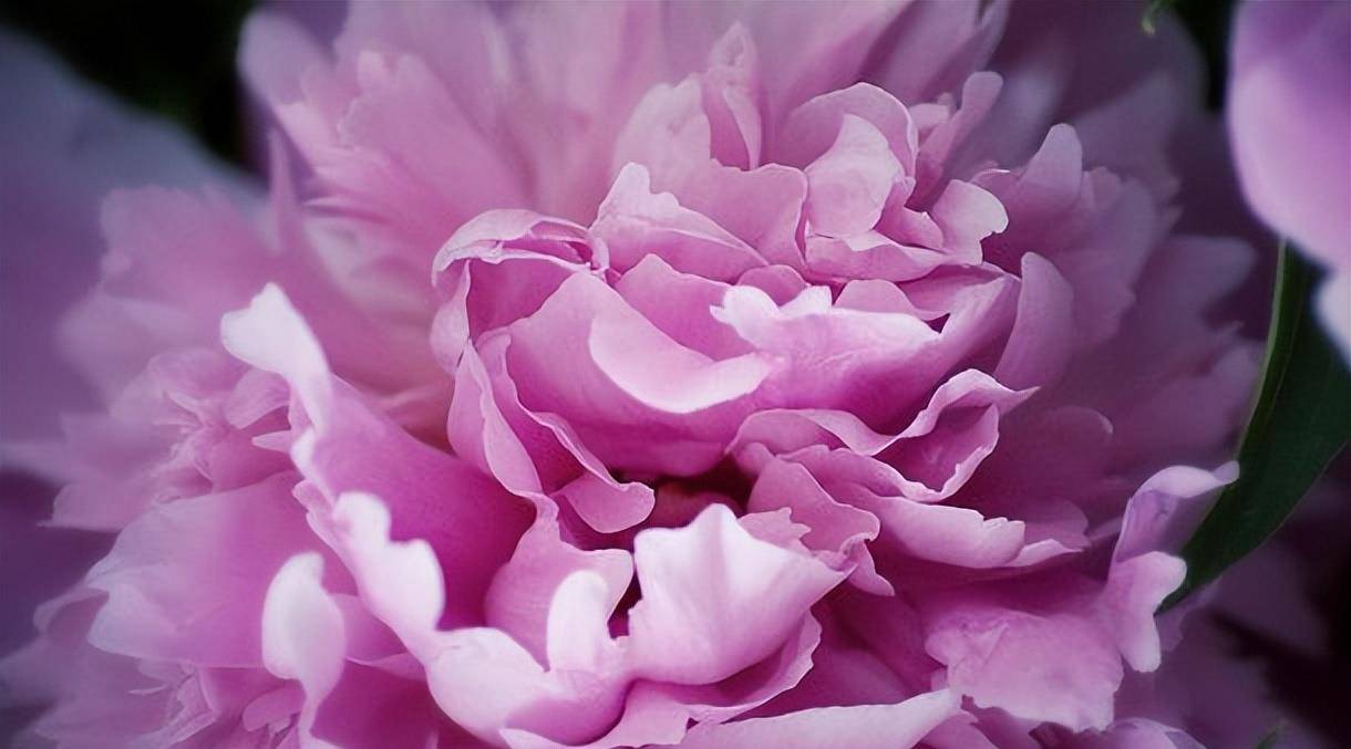 周易女名,300个出自周易的好名字女孩