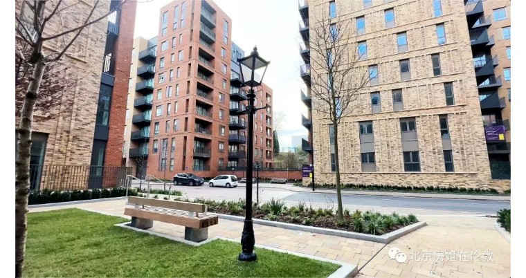 伦敦3月樱花,伦敦樱花季