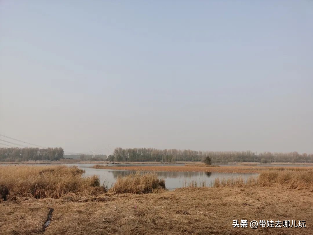 在森林公园里玩耍,中国可以骑行的森林公园