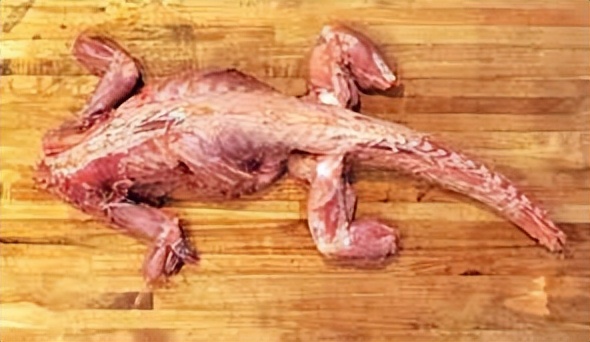 太惊悚！厕所传来怪异嘶嘶声，美国老哥掀开马桶盖，差点灵魂出窍