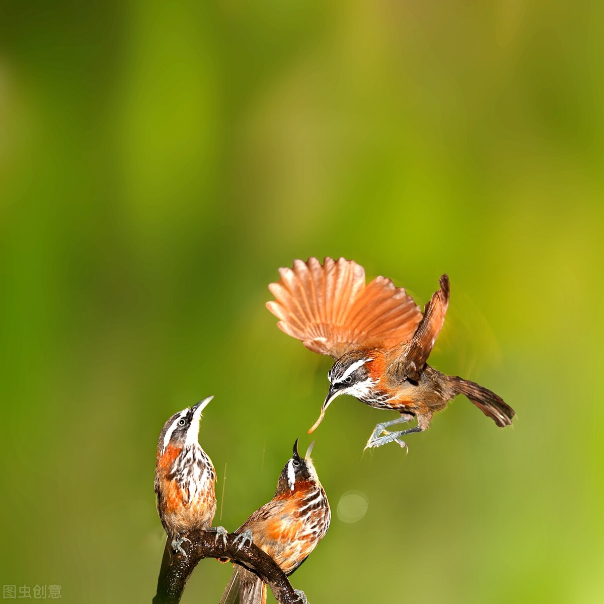 相机拍照片应该用什么模式,相机的7种拍照模式技巧