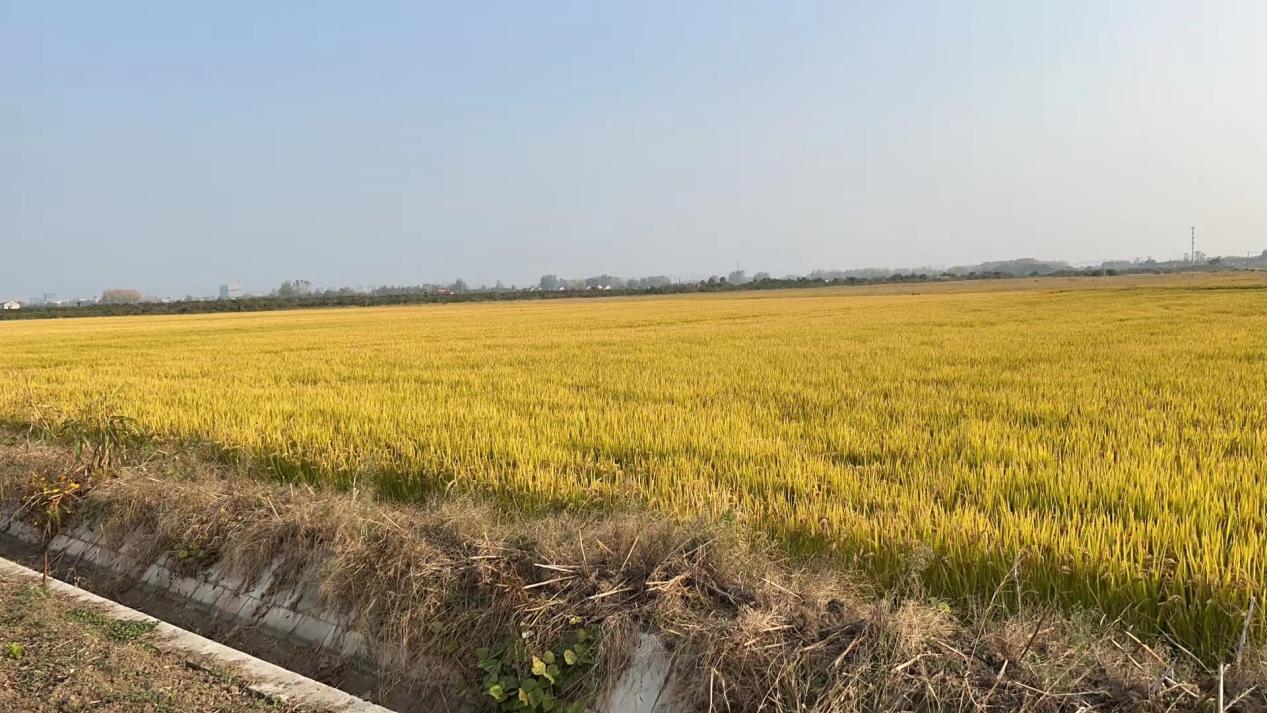 耕地质量实时更新和监测,农田耕地质量监测工作