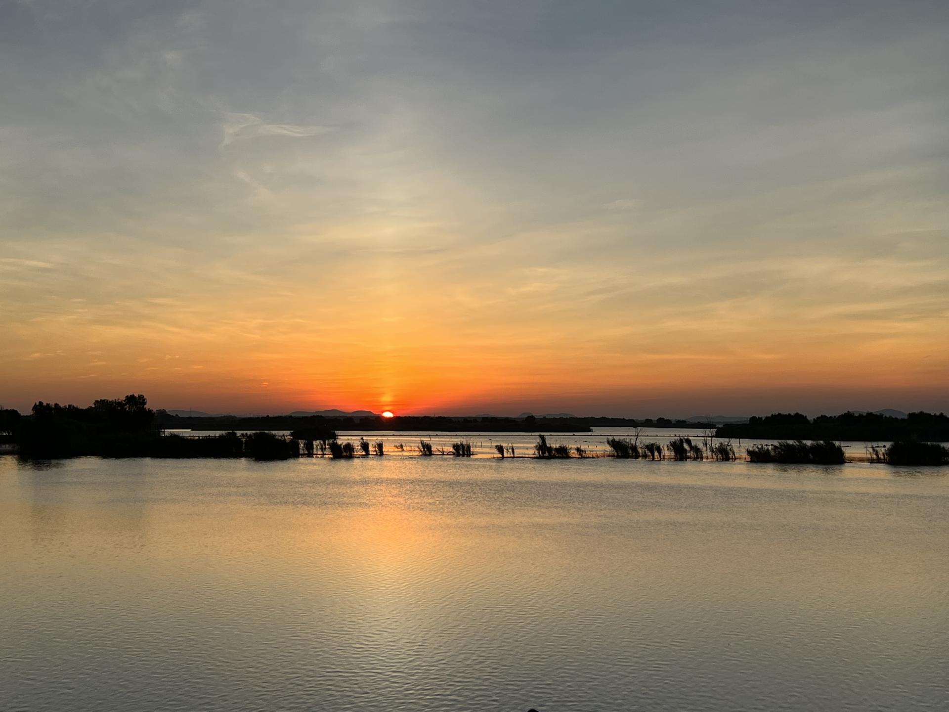 合肥带娃暑假有啥好玩的,合肥暑期带小孩儿去哪玩